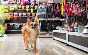 Pet Supplies Image or Picture